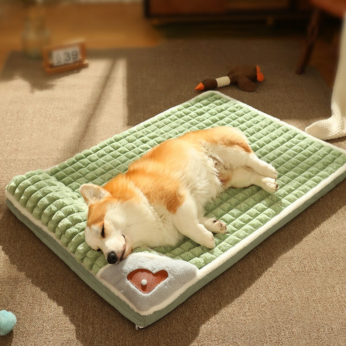 chien coucher sur un tapis orthopédique vert