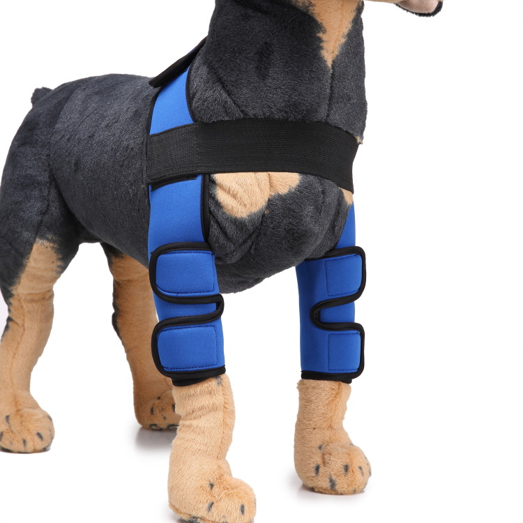 Protection des coudes pour chien, pantalon/pantalon rembourré