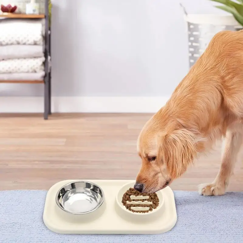 Gamelle orthopédique chien pour l'eau et la nourriture ici sur un tapis avec un chien.